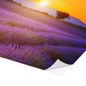 Posterlounge Wandfolie Editors Choice, Sonne über dem Lavendel, Mediterran Fotografie