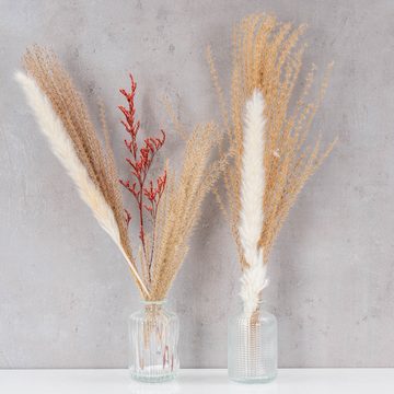 Levandeo® Dekovase, 2er Set Vase H10cm Weiß Klar Glas Blumenvase Tischdeko Frühling
