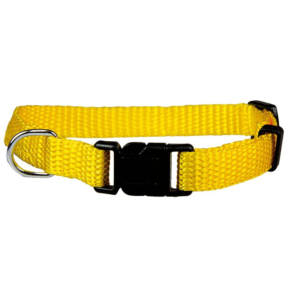 Schecker Hunde-Halsband Welpen Halsbänder - Ideal für Züchter - 4 Farben, Nylon, in 4 Farben wählbar