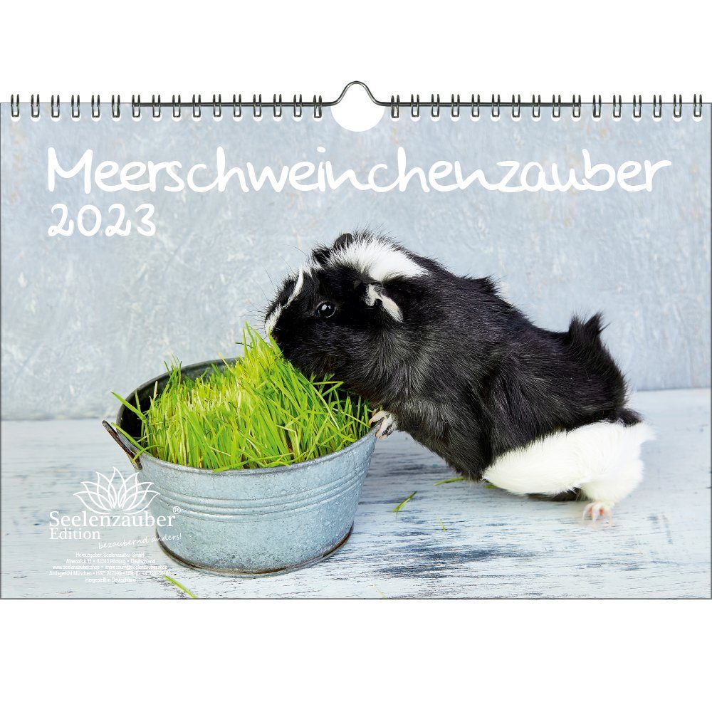 Seelenzauber Wandkalender Meerschweinchenzauber DIN A4 Kalender für 2023 Meerschweinchen - Seele