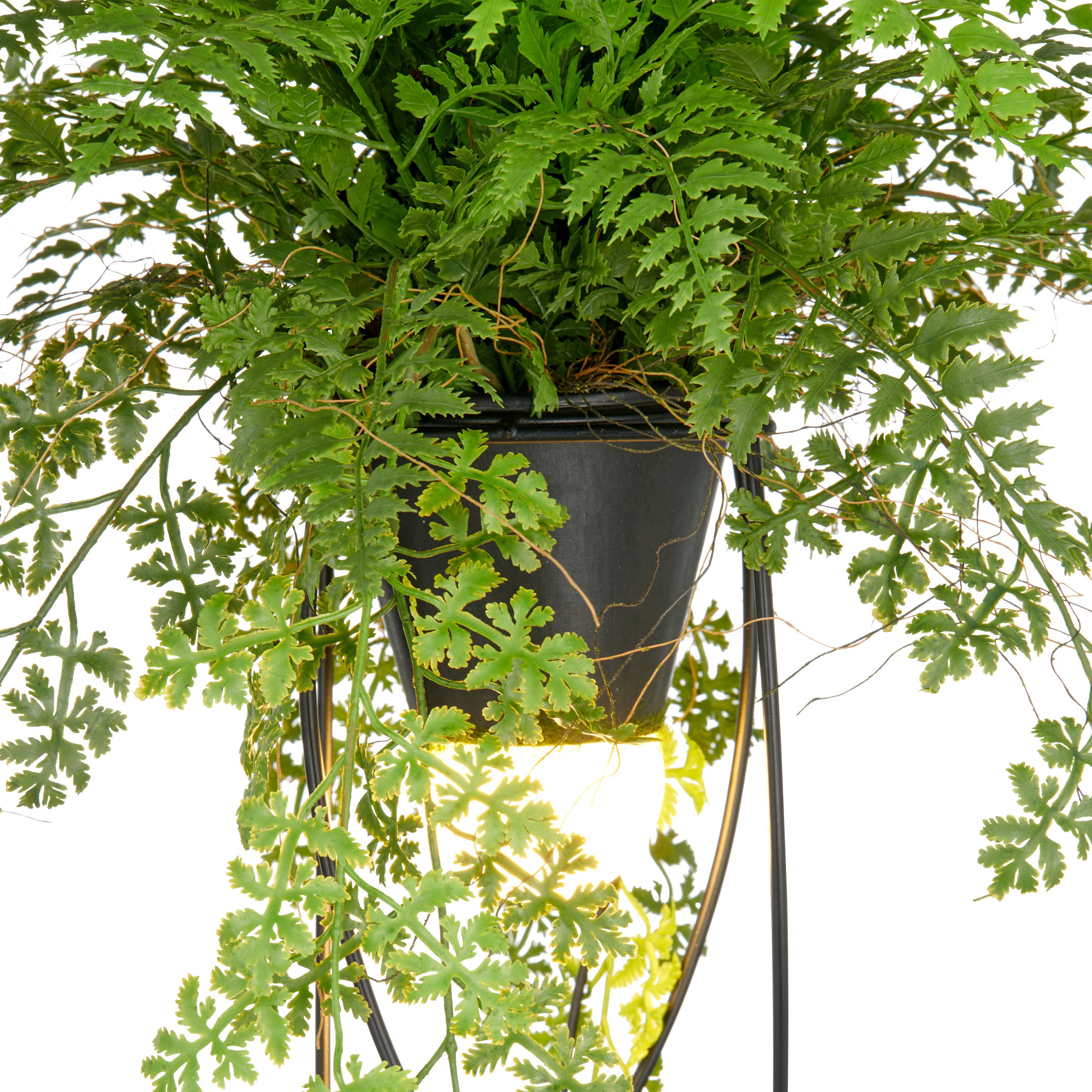 Kunstpflanze Farn als Dekostandleuchte, Creativ green, Höhe 60 cm, mit LED- günstig online kaufen