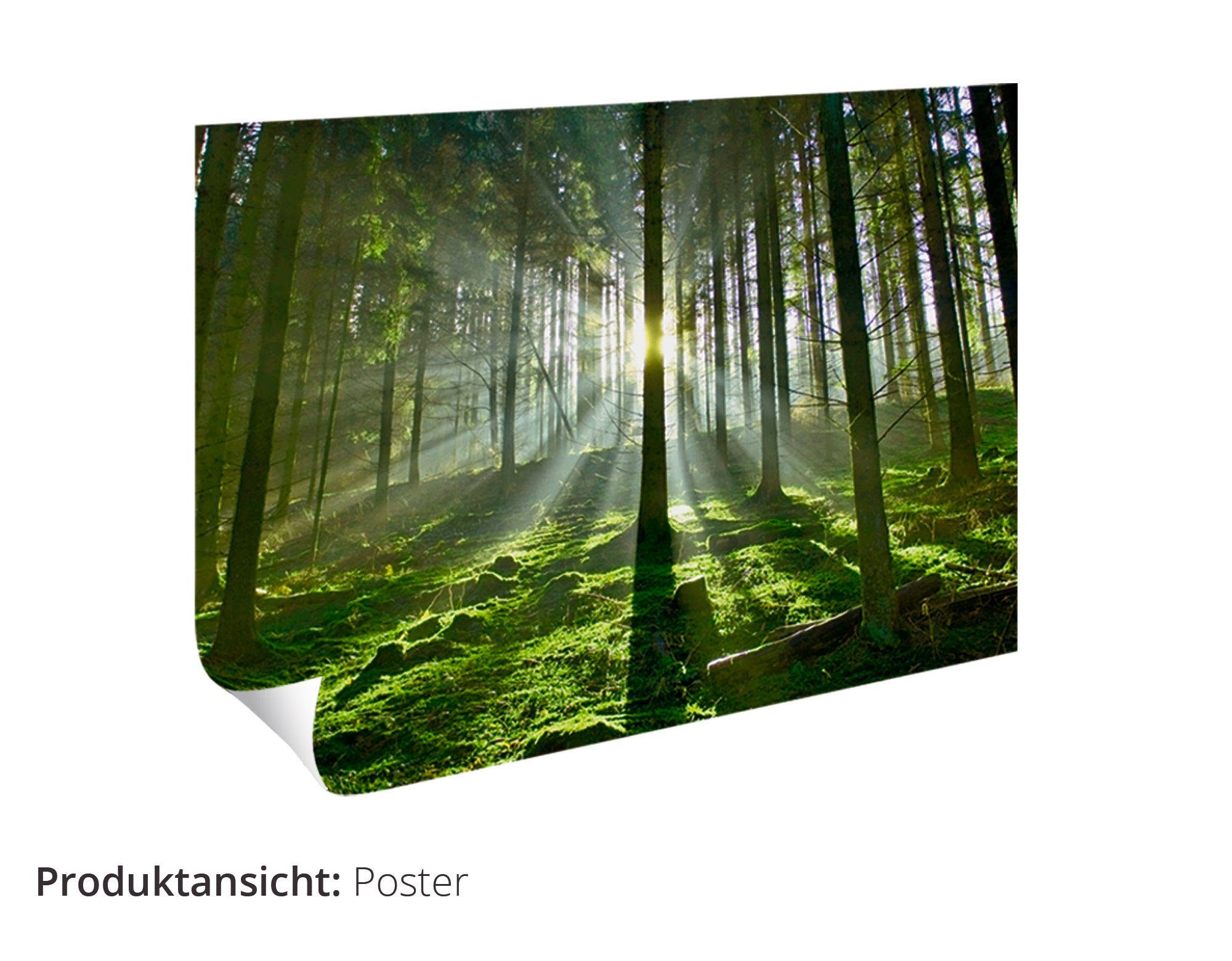 Lichtkegel, oder (1 Größen als Poster in Leinwandbild, Wald versch. Artland Alubild, St), Wandaufkleber Wandbild