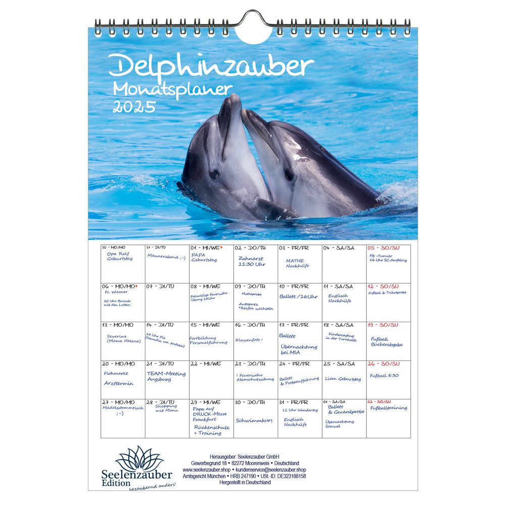 Seelenzauber Wandkalender Delphinzauber Wand- Planer Kalender für 2025 DIN A4 Delphin