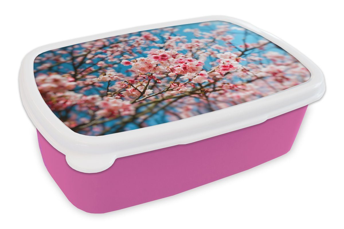MuchoWow Lunchbox Blüte - Himmel - Baum, Kunststoff, (2-tlg), Brotbox für Erwachsene, Brotdose Kinder, Snackbox, Mädchen, Kunststoff rosa
