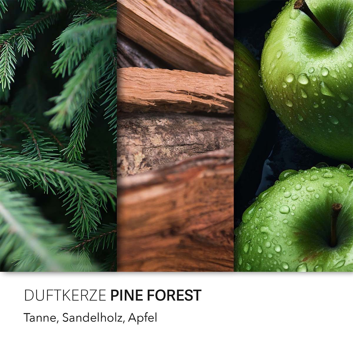 Candle BROTHERS Duftkerze Pine Forest - günstig online kaufen