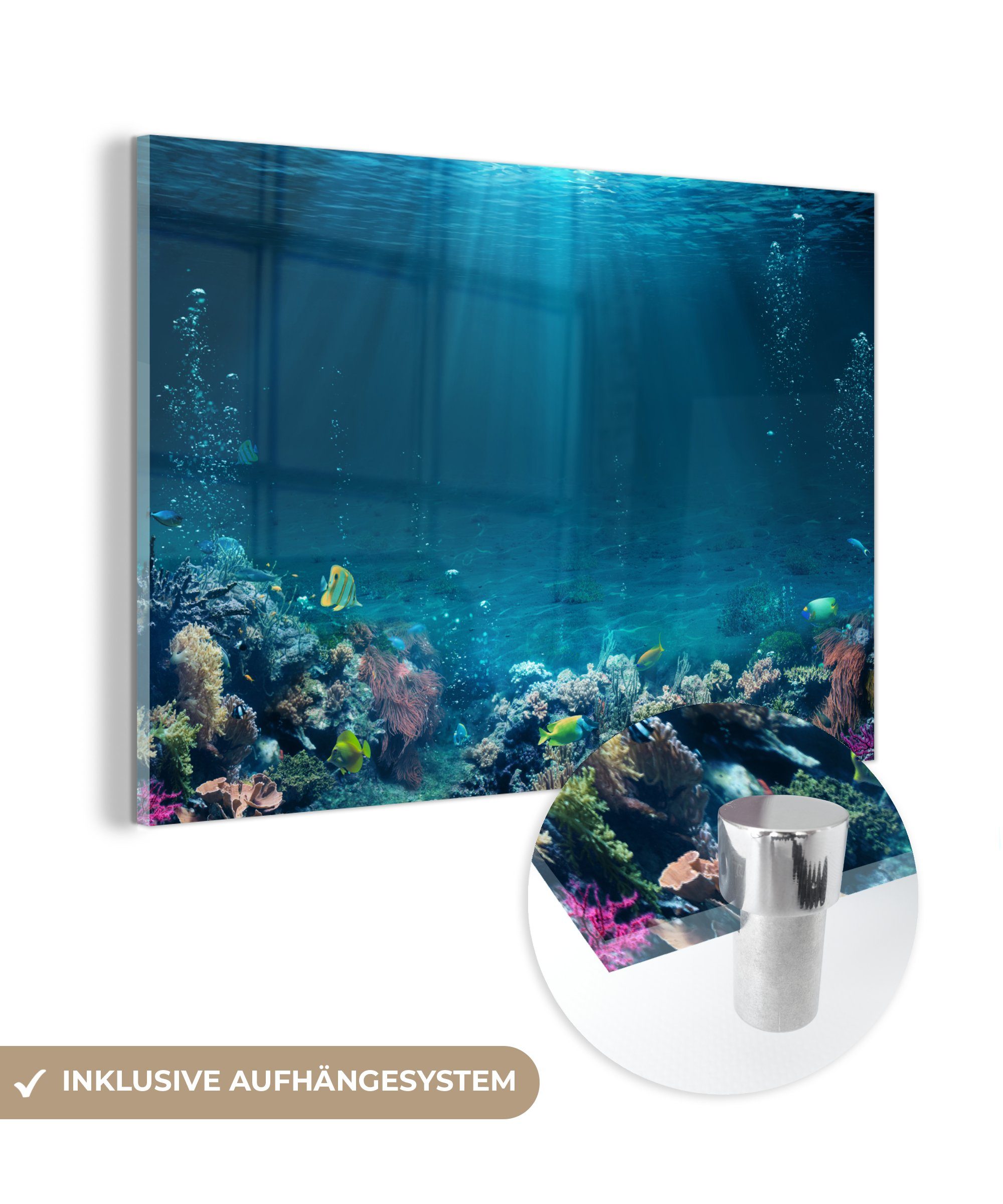 MuchoWow Acrylglasbild Ozean - Fische - Korallen, (1 St), Acrylglasbilder Wohnzimmer & Schlafzimmer bunt