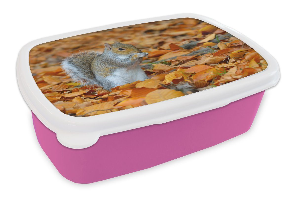 rosa Herbstlaub, Kunststoff Erwachsene, (2-tlg), dem Brotdose Kinder, zwischen Mädchen, Brotbox Lunchbox für Kunststoff, Snackbox, Eichhörnchen MuchoWow