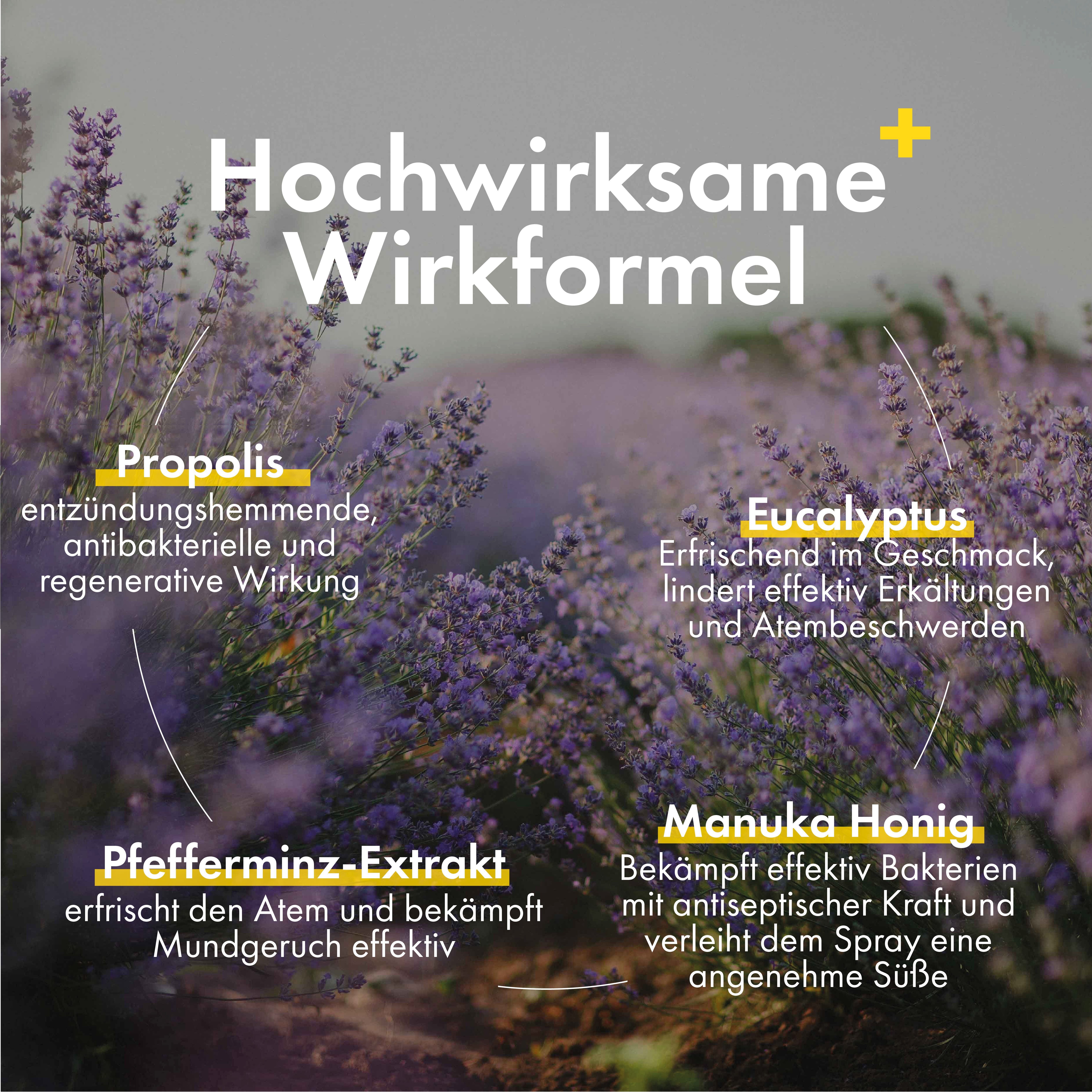 HC PRODUCTS Mundspray Propolis Spray mit Manuka Honig, Eucalyptus und Pfefferminz, Unterstützend bei Halssschmerzen, Atembeschwerden und Mundgeruch