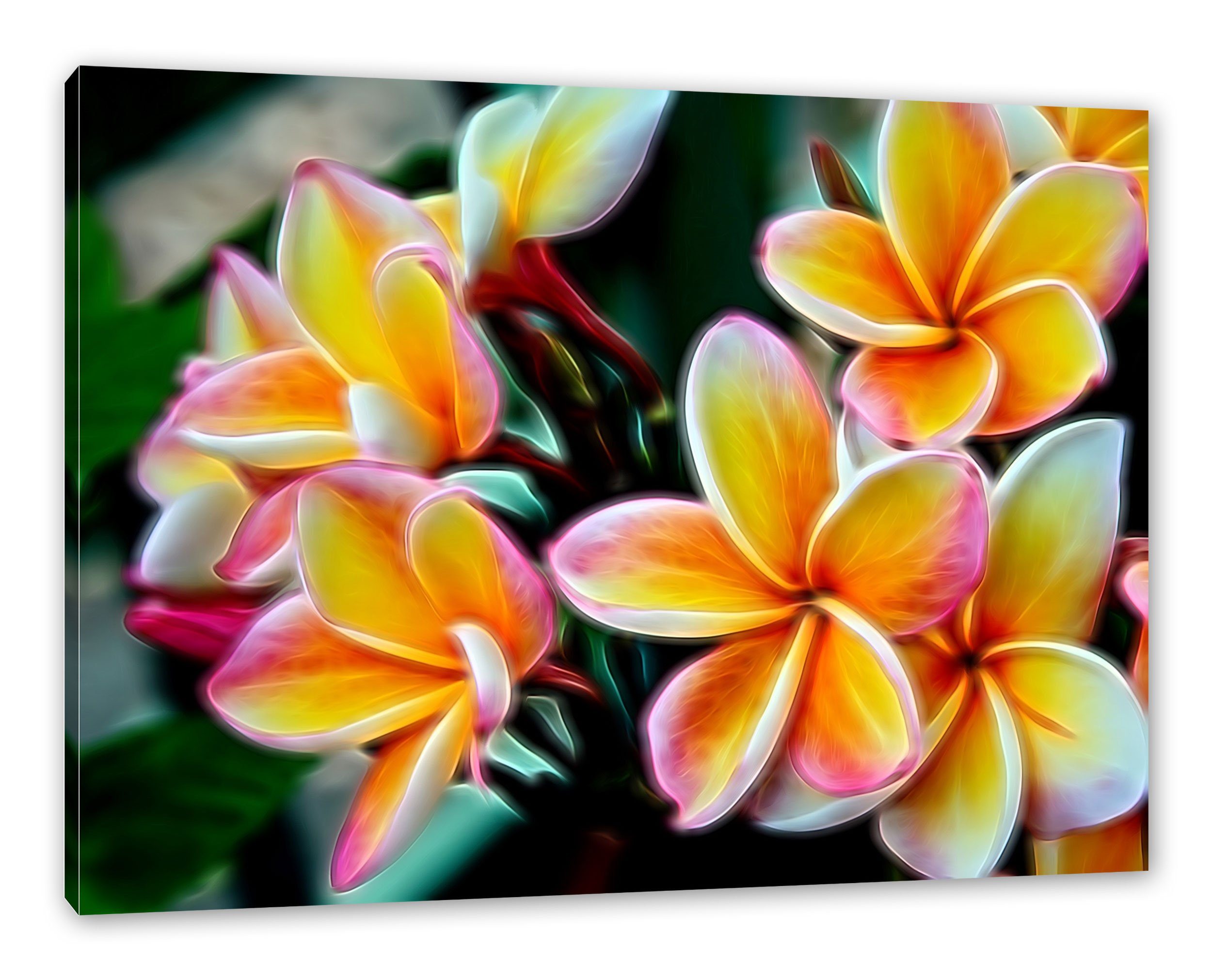Pixxprint Leinwandbild schöne Monoi Blüten, schöne Monoi Blüten (1 St), Leinwandbild fertig bespannt, inkl. Zackenaufhänger