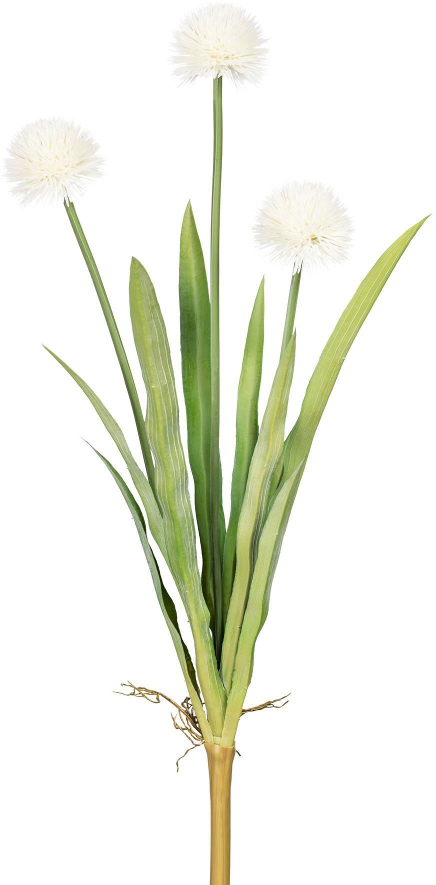 Kunstblume »Vivian« Allium, my home, Höhe 60 cm, 2er Set-HomeTrends