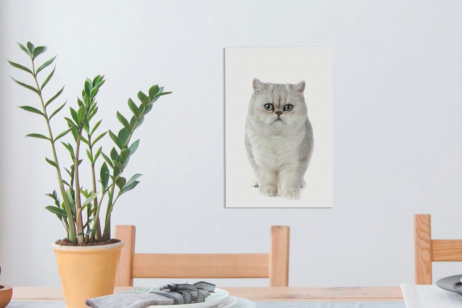 Hintergrund, Zackenaufhänger, inkl. exotische St), Leinwandbild weißem OneMillionCanvasses® cm Weiße Gemälde, Katze 20x30 fertig (1 auf Leinwandbild bespannt