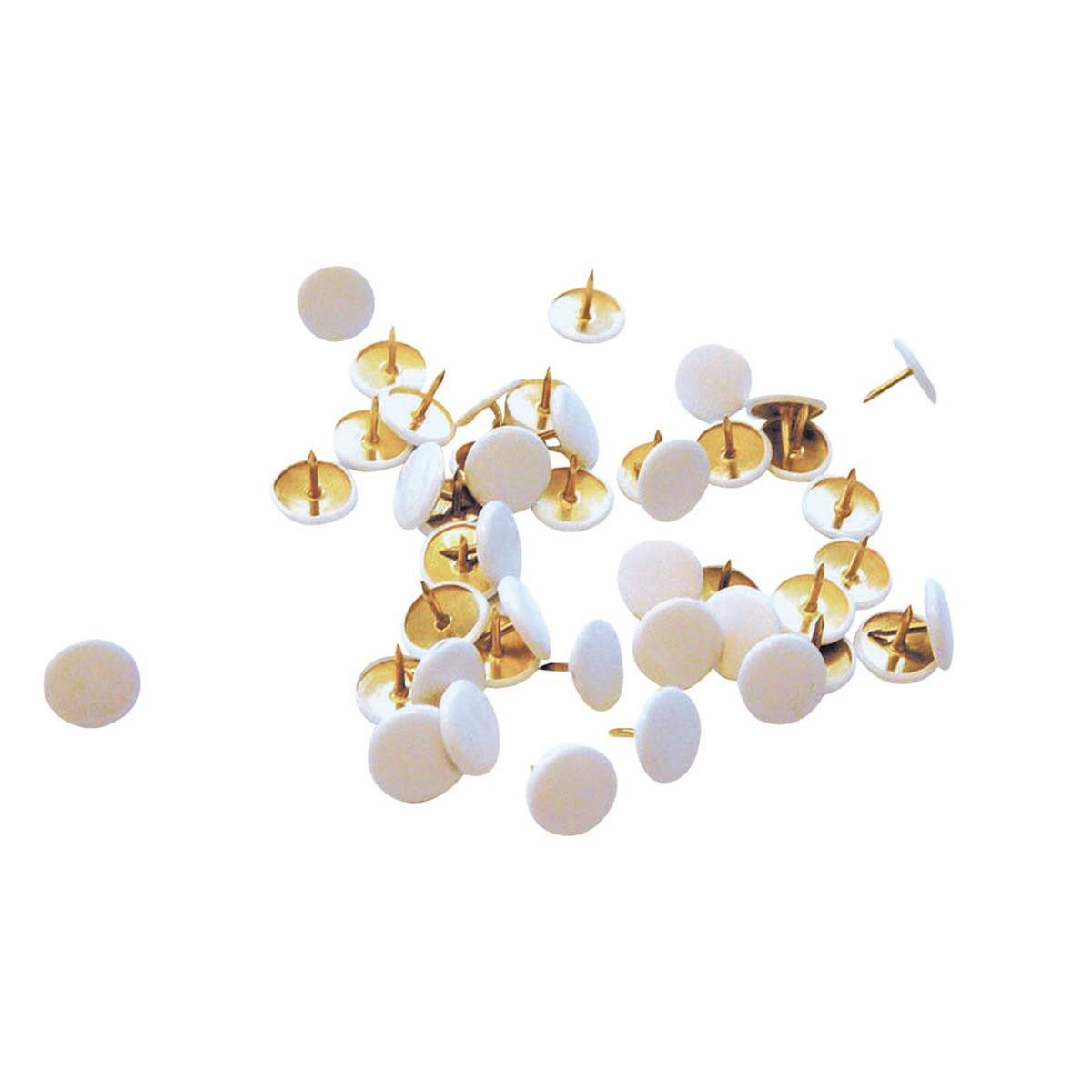 Albert & Co Pinnnadel ALCO Reißnagel SUN 151-10 95 mm plastiküberzogen weiß 100 St./Pack.