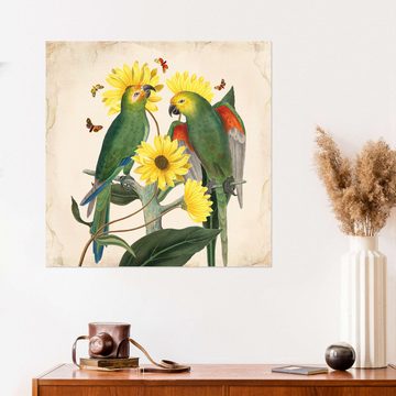 Posterlounge Wandfolie Mandy Reinmuth, Exotische Papageien II, Wohnzimmer Shabby Chic Malerei