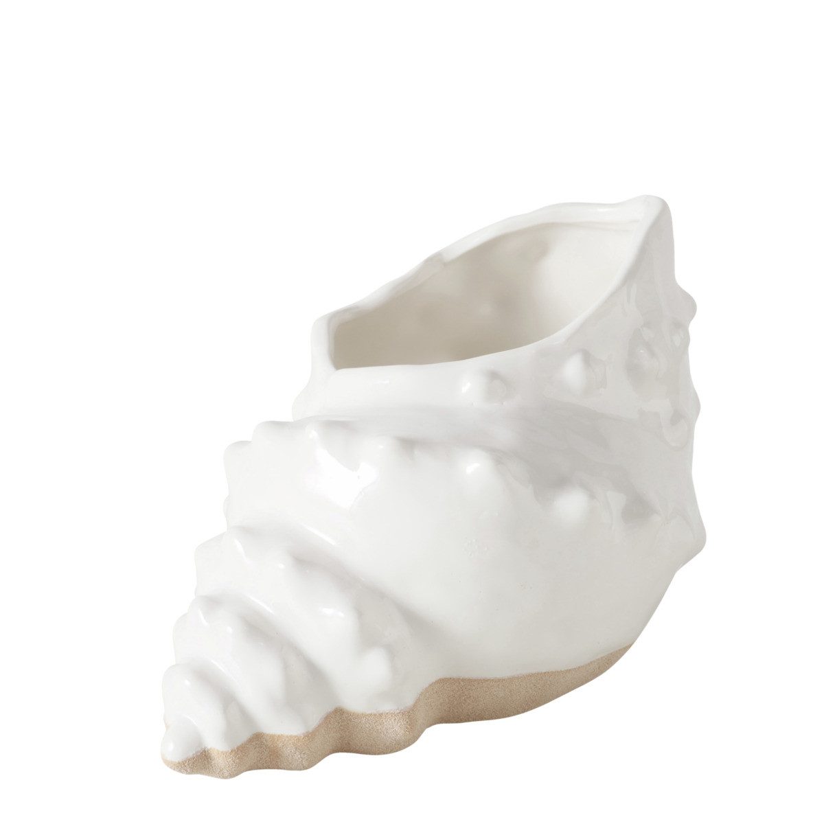 BOLTZE Dekovase Vase Muschel SHELBY