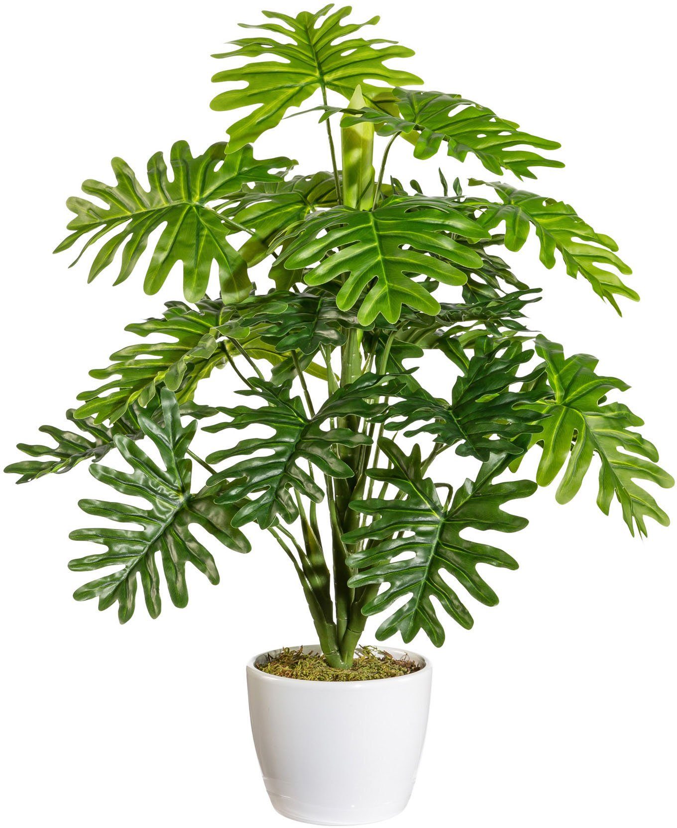 Kunstpflanze Monsterapflanze Monstera, OTTO home, Höhe 50 cm, Grünpflanze im weißen Keramiktopf