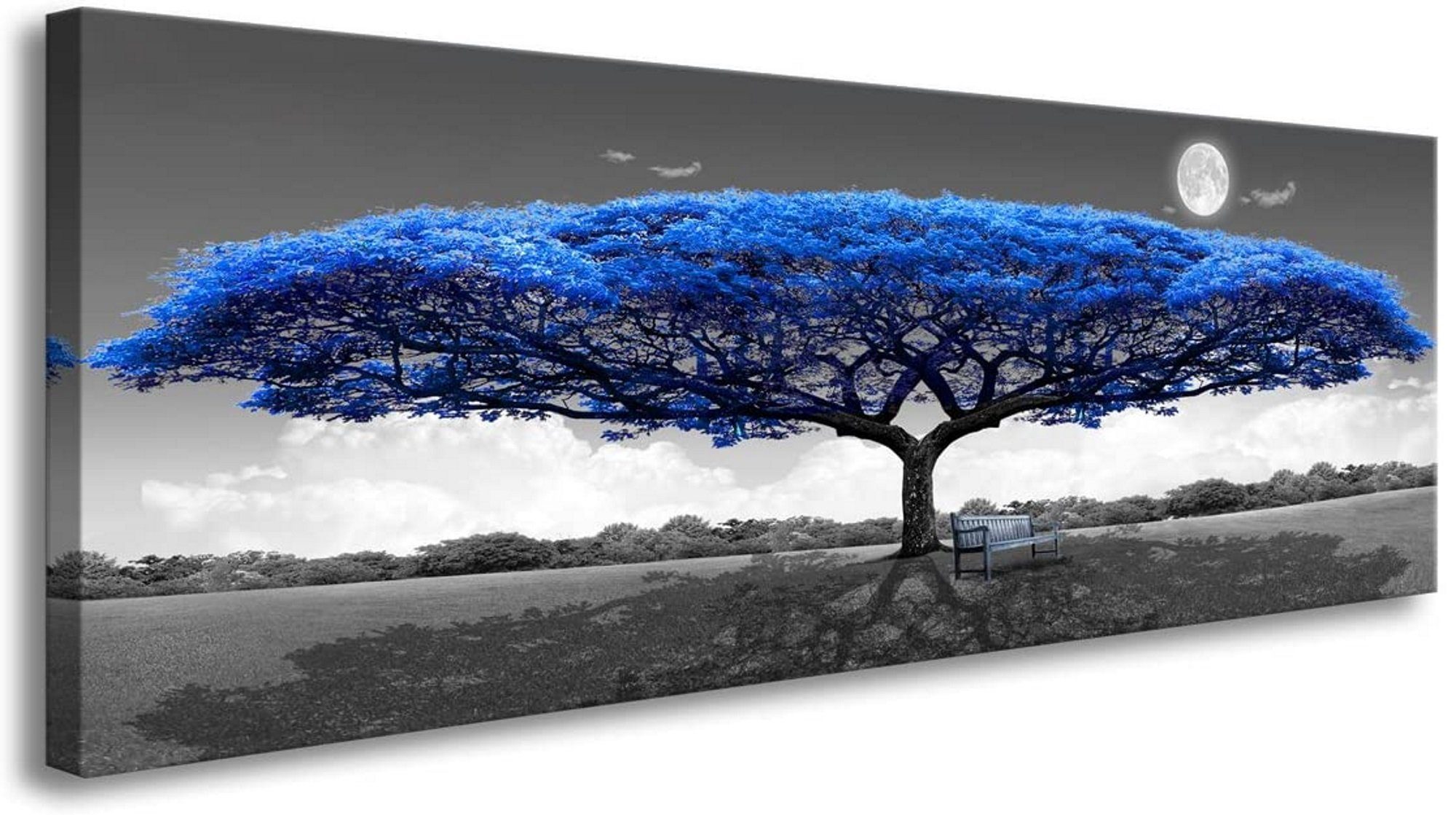 Visario Leinwandbild 1-teiliges Bild auf Leinwand günstig online kaufen