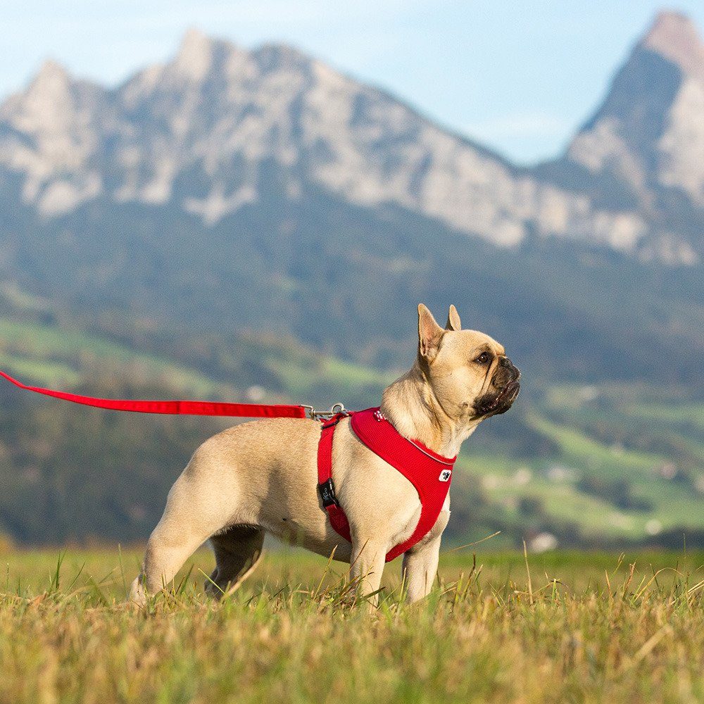 Curli Hunde-Geschirr Basic Geschirr Air-Mesh rot