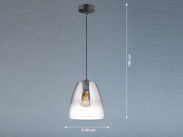 meineWunschleuchte LED Pendelleuchte, dimmbar, LED wechselbar, Warmweiß, einflammig hängend mit Lampenschirm Rauchglas Ø 20cm klein