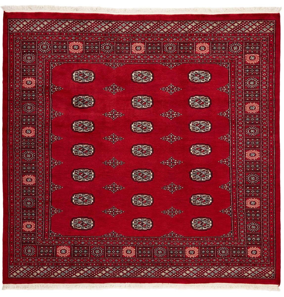 Orientteppich Pakistan Buchara 2ply 204x198 Handgeknüpfter Orientteppich, Nain Trading, rechteckig, Höhe: 8 mm