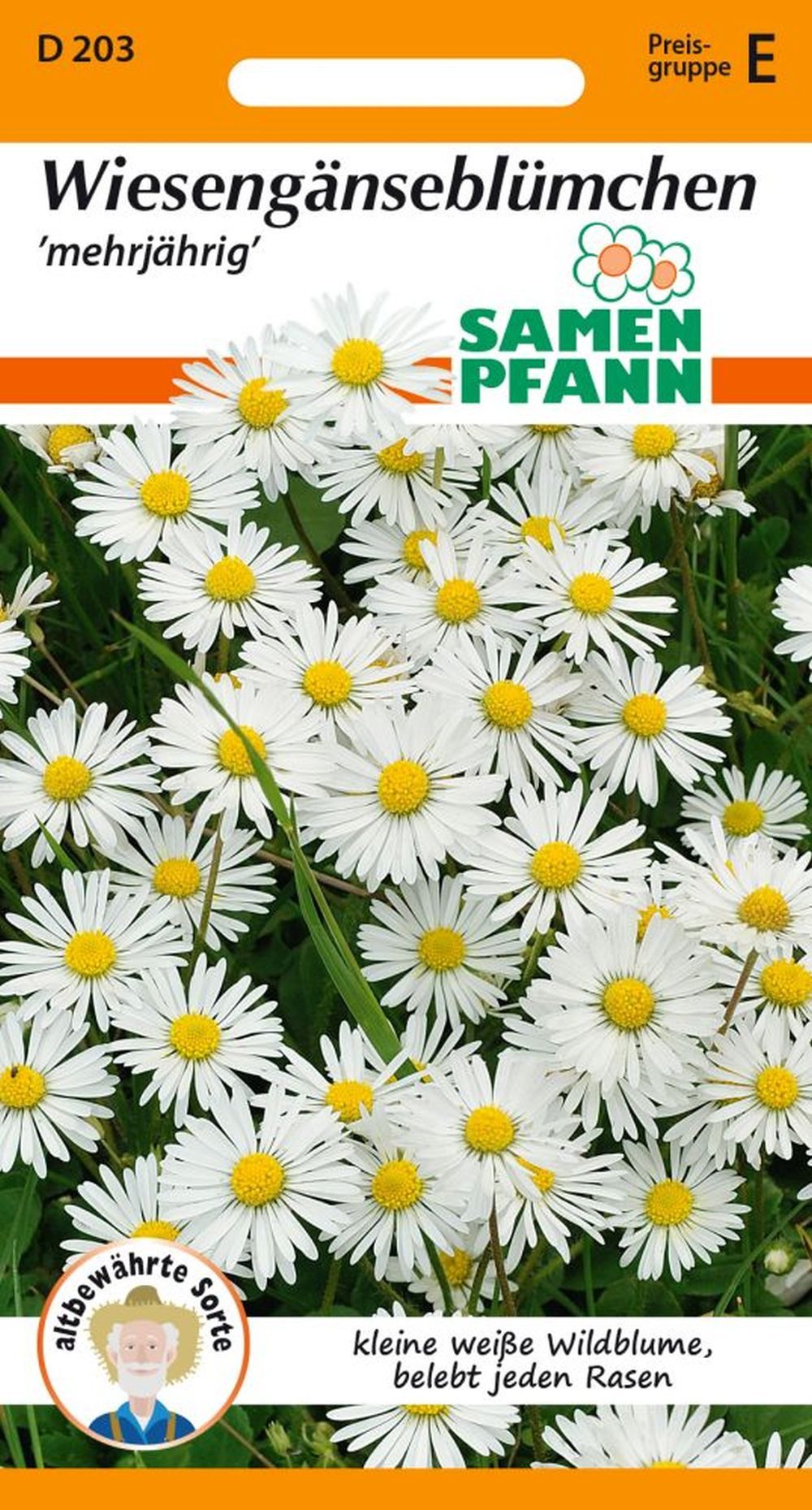 SAMEN PFANN Blumensamen Gänseblümchen, Wiesengänseblümchen - Saatgut Samen, Bellis perennis