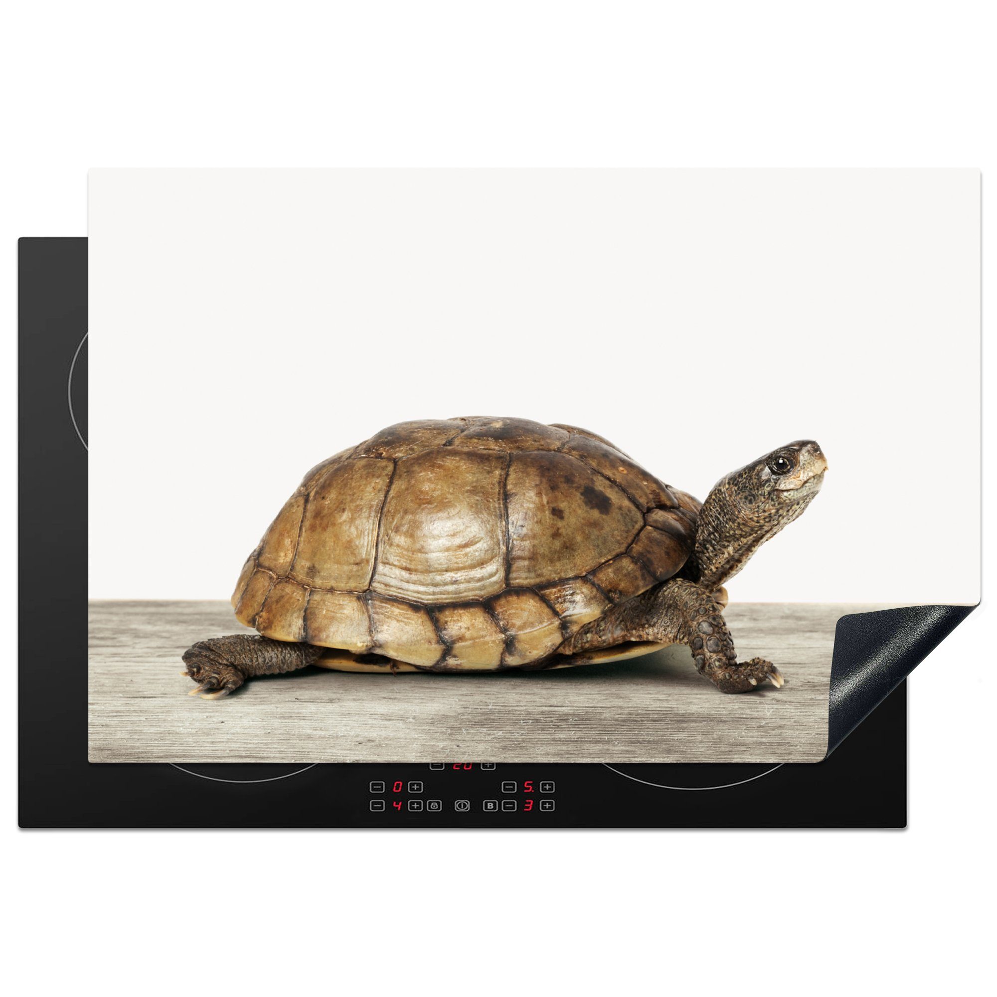 MuchoWow Herdblende-/Abdeckplatte Schildkröte - Junge - Tiere - Kinder - Mädchen, Vinyl, (1 tlg), 77x51 cm, Ceranfeldabdeckung, Arbeitsplatte für küche