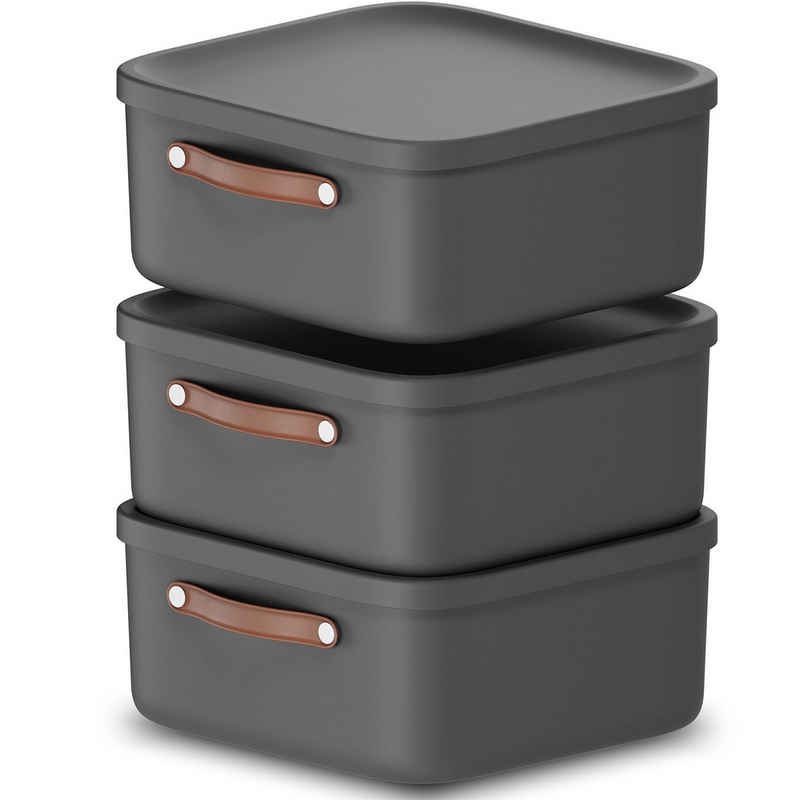 ROTHO Stapelbox 3er-Set Kiste mit Deckel Maloja 20l (Aufbewahrungsset, 3er-Set)