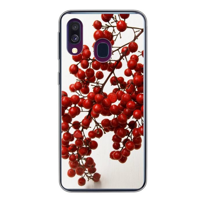 MuchoWow Handyhülle Beeren - Stilleben - Rot Handyhülle Samsung Galaxy A40 Smartphone-Bumper Print Handy