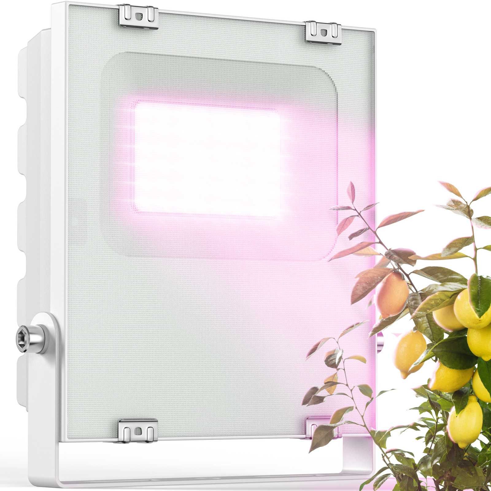 Meine Orangerie Pflanzenlampe 20W LED-Spezialleuchte zur Überwinterung von Pflanzen, LED fest integriert, 400-750nm, LED-Pflanzenlampe Speziallichtquelle