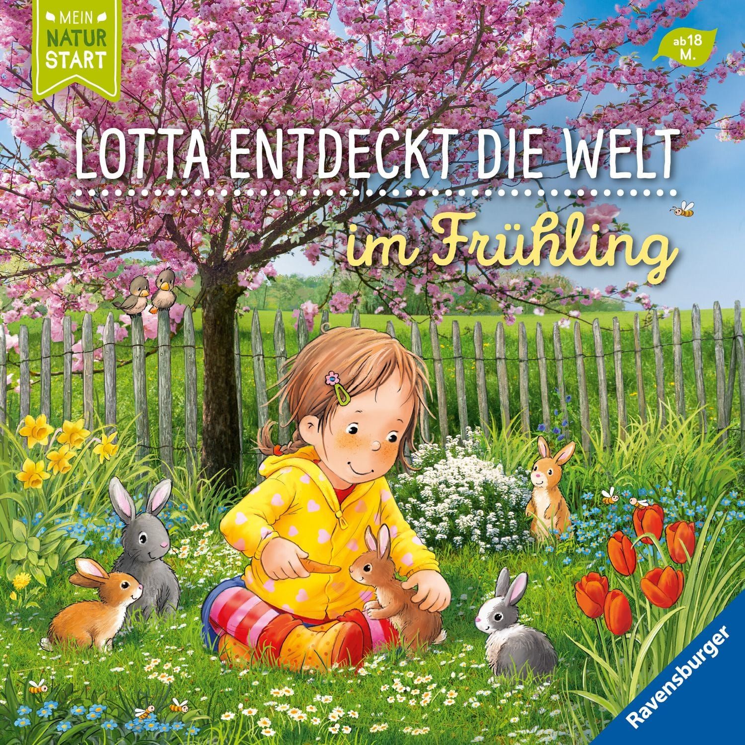 Lotta entdeckt die Welt: Im Frühling / Sandra Grimm