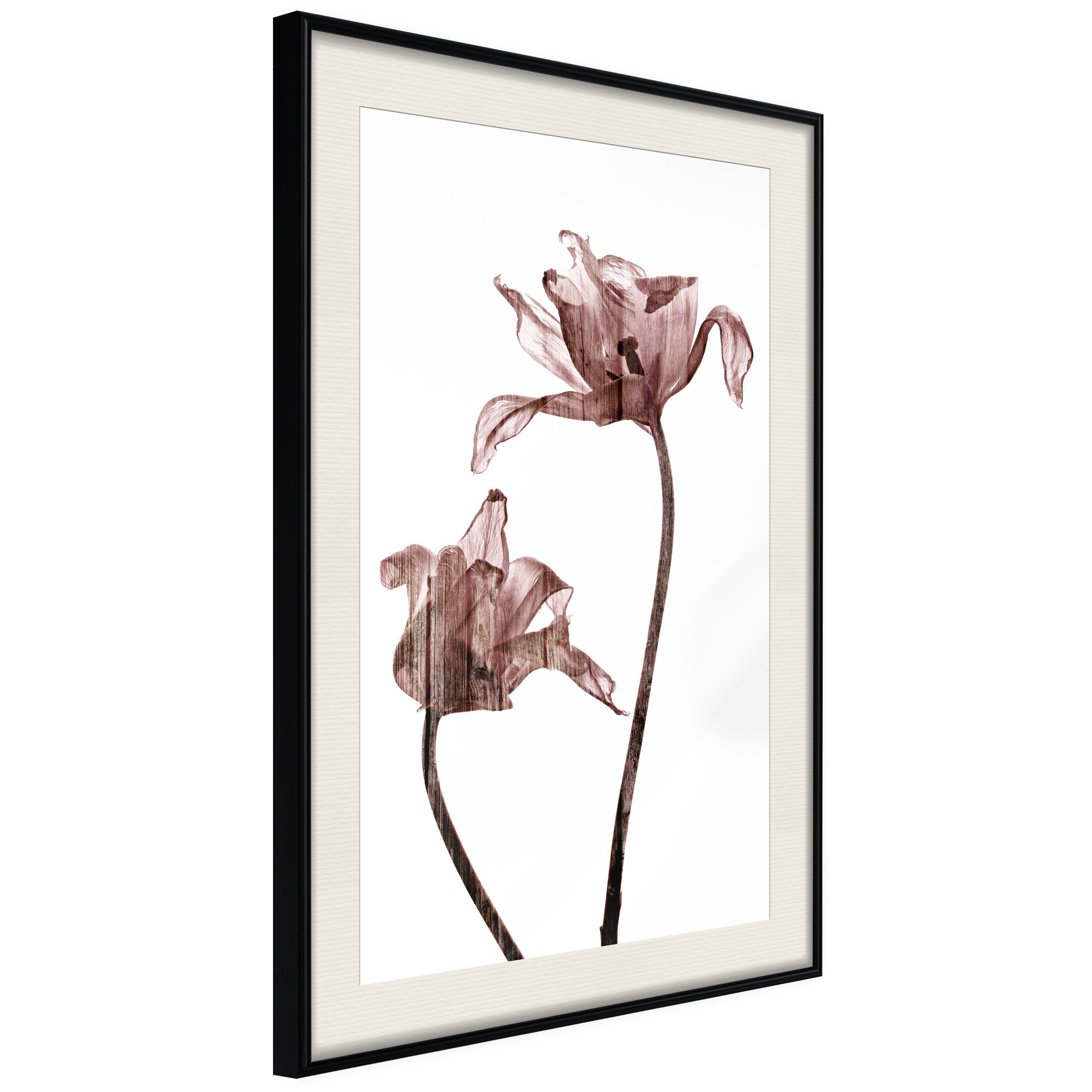 Poster Illuminated Closeness []