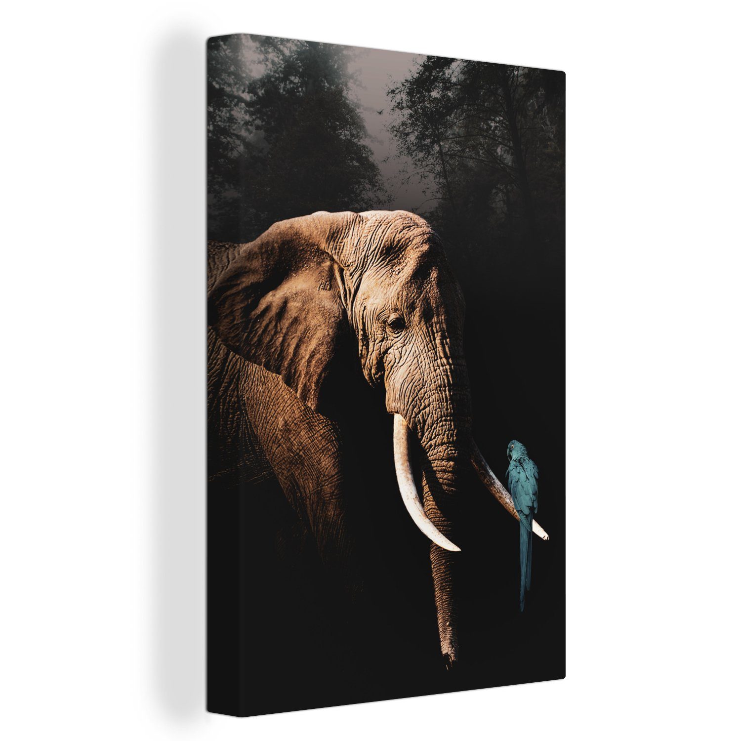 OneMillionCanvasses® Leinwandbild Elefant - Papagei - Baum, (1 St), Leinwandbild fertig bespannt inkl. Zackenaufhänger, Gemälde, 20x30 cm
