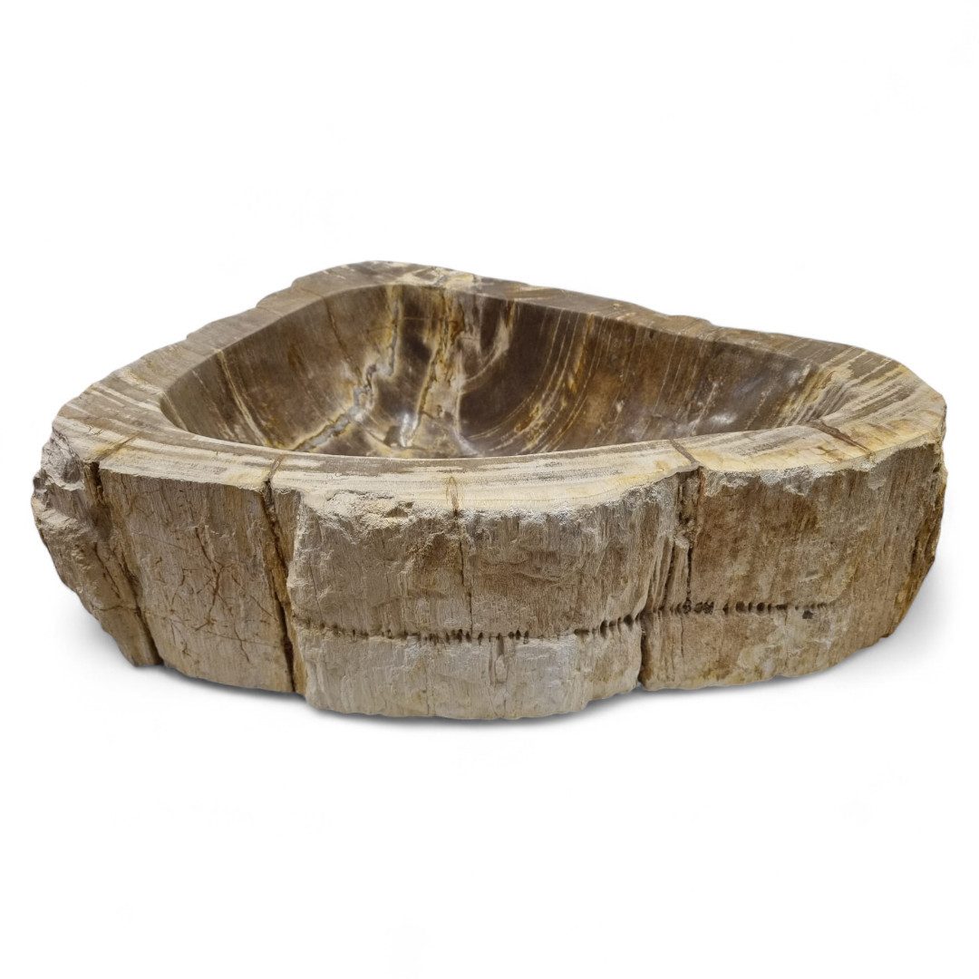 Kinaree Waschbecken Versteinertes Holz, Mittelbraun, ca. 50 cm, Indonesien (1-St)