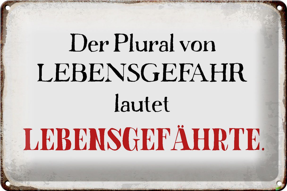 Metallschild Schild Blech 30x20cm - Made in Germany - Spruch plural von Lebensgefah