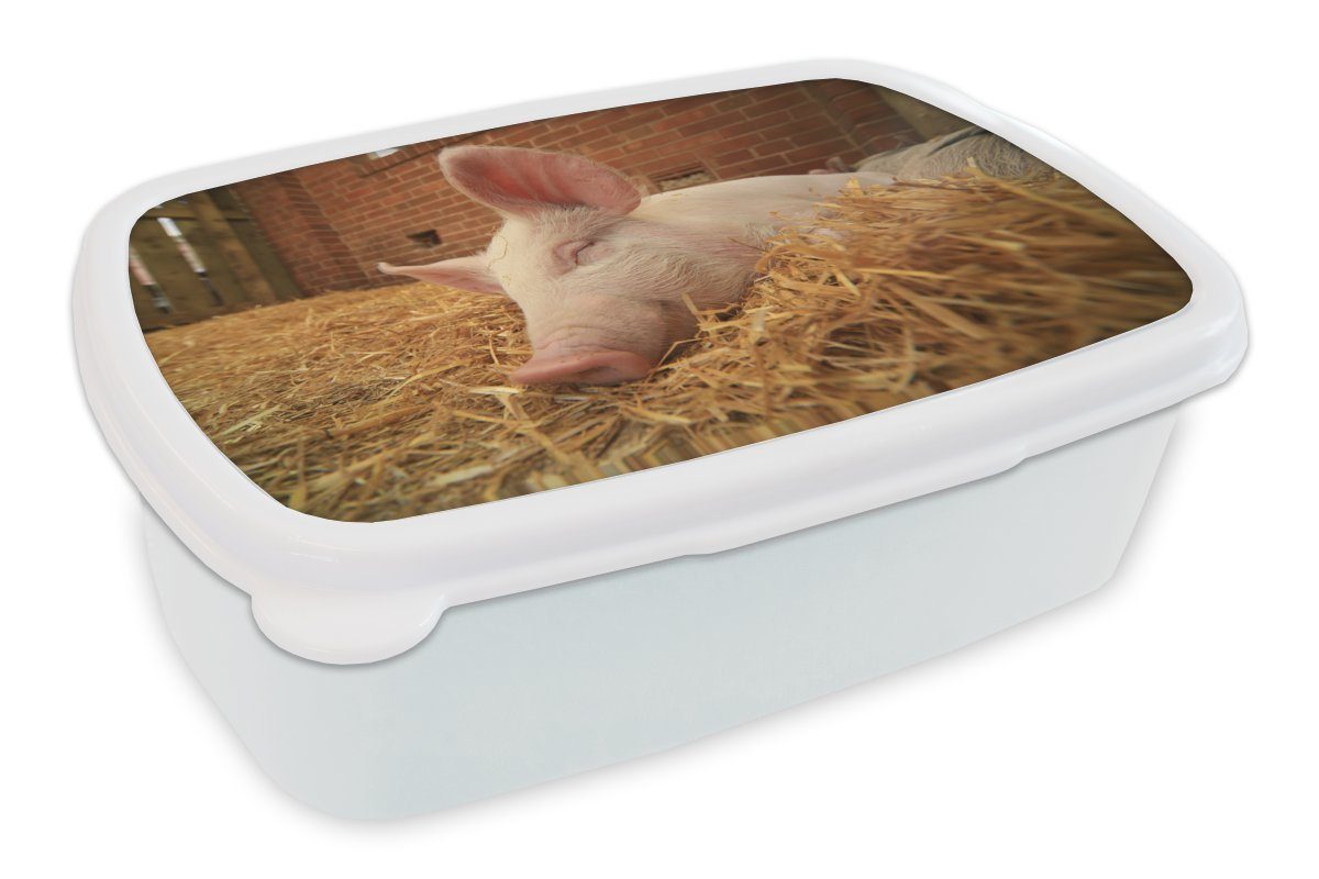 Kunststoff, für Stroh Lunchbox Kinder Jungs (2-tlg), Erwachsene, Schwein MuchoWow Brotbox und und weiß - Brotdose, für - Tier, Mädchen