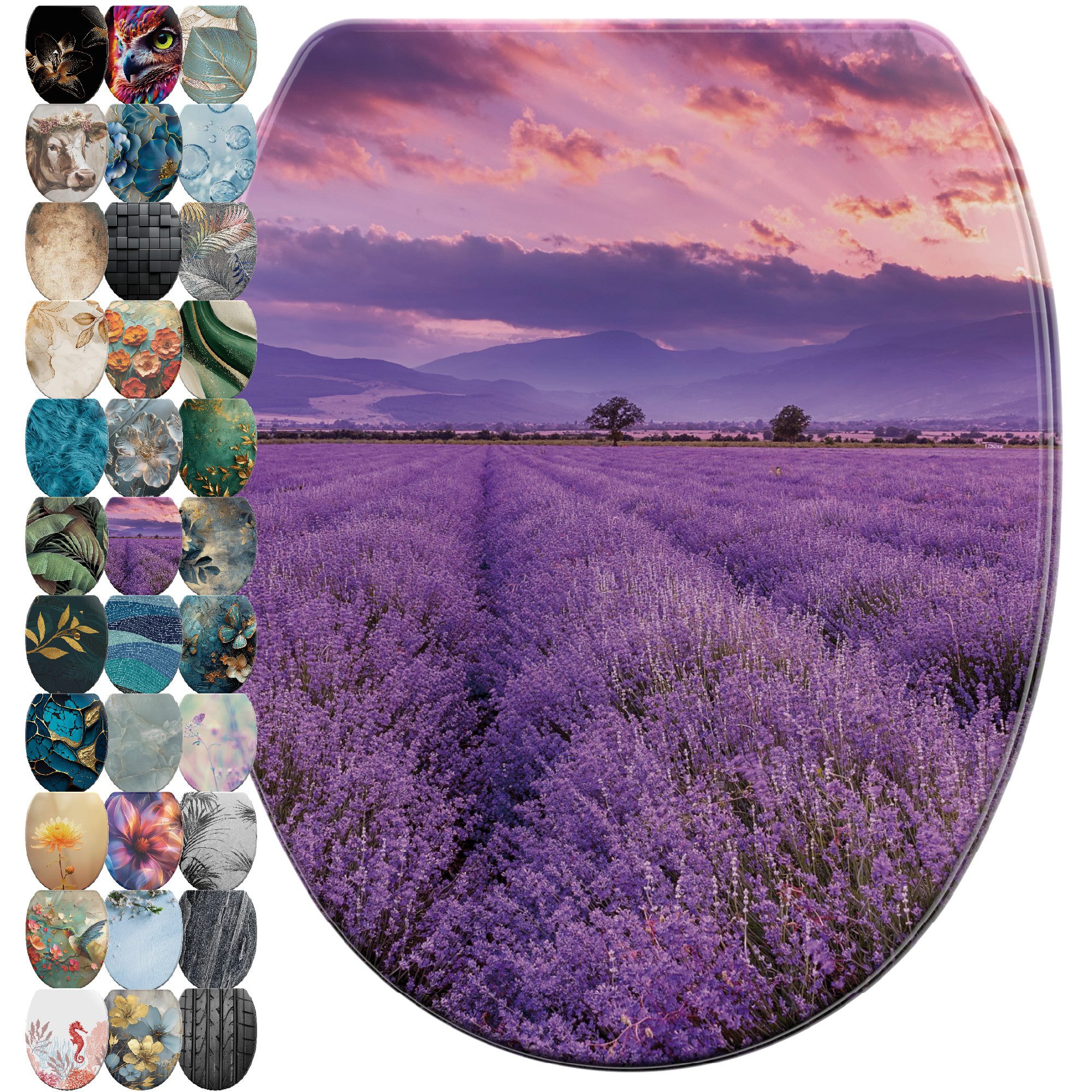 Sanilo WC-Sitz mit Absenkautomatik & Top Fix in vielen Designs, hochwertig, günstig online kaufen