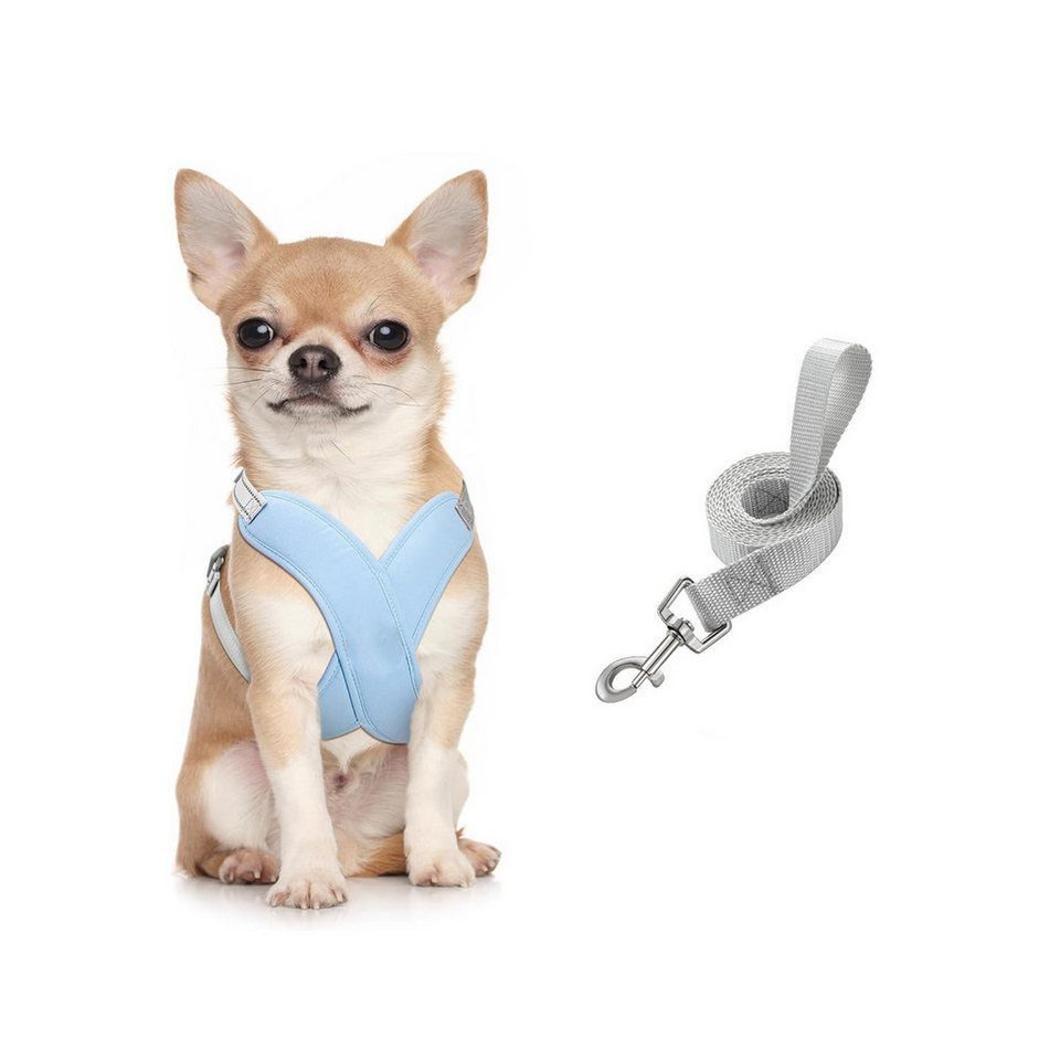 FOUORTUNATE-BEE Hunde-Geschirr Hundegeschirr Set mit verstellbarer Leine für Hunde, Hundegeschirr mit verstellbarer Leine – Set für Hunde