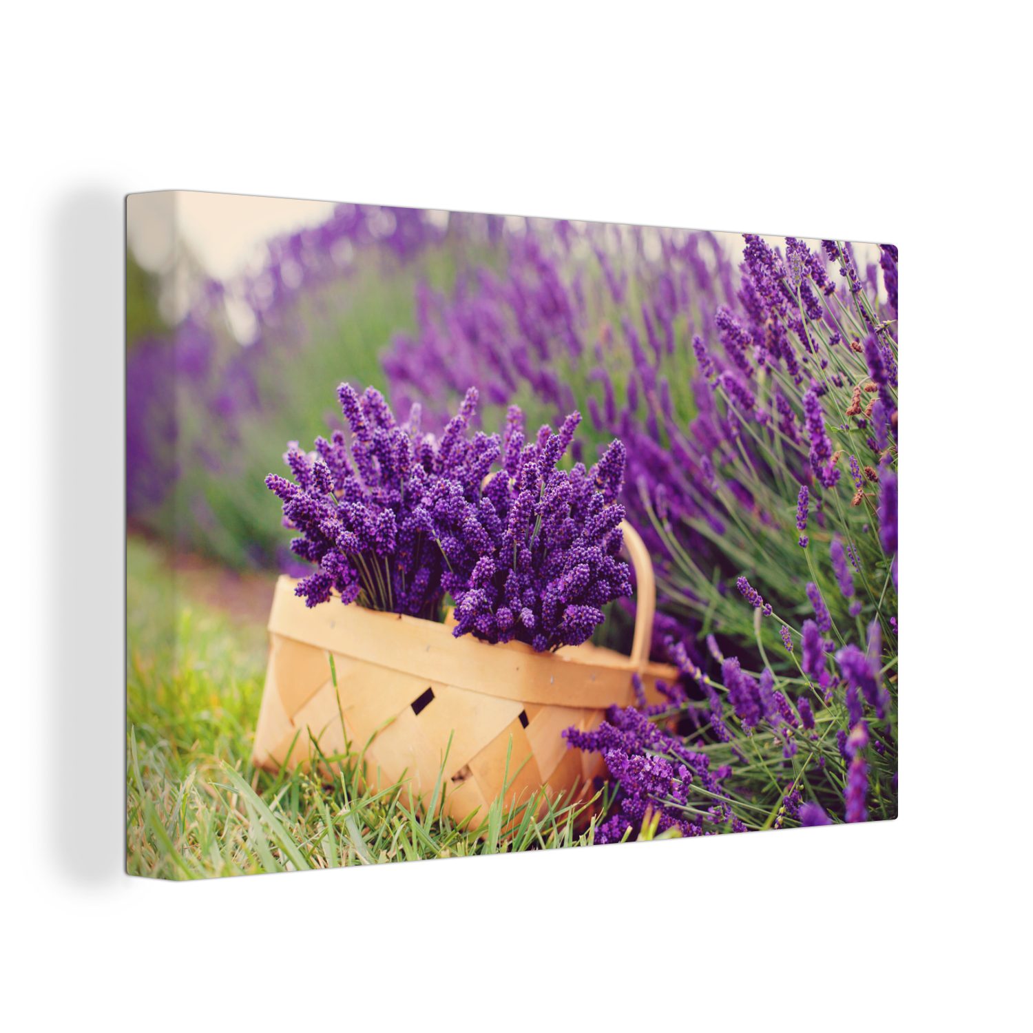 OneMillionCanvasses® Leinwandbild Ein Korb gefüllt und umgeben von Lavendel, (1 St), Wandbild Leinwandbilder, Aufhängefertig, Wanddeko, 30x20 cm