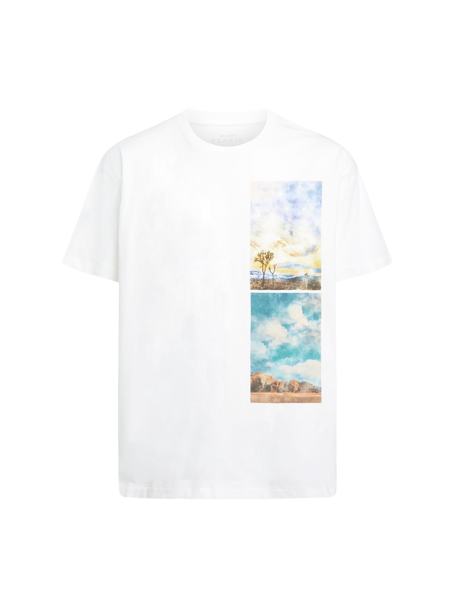 Esprit T-Shirt T-Shirt mit abgesetztem Landschafts-Print (1-tlg) WHITE