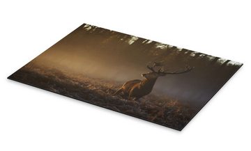 Posterlounge Alu-Dibond-Druck Alex Saberi, Hirsch im Herbstsonnenaufgang, Rustikal Fotografie