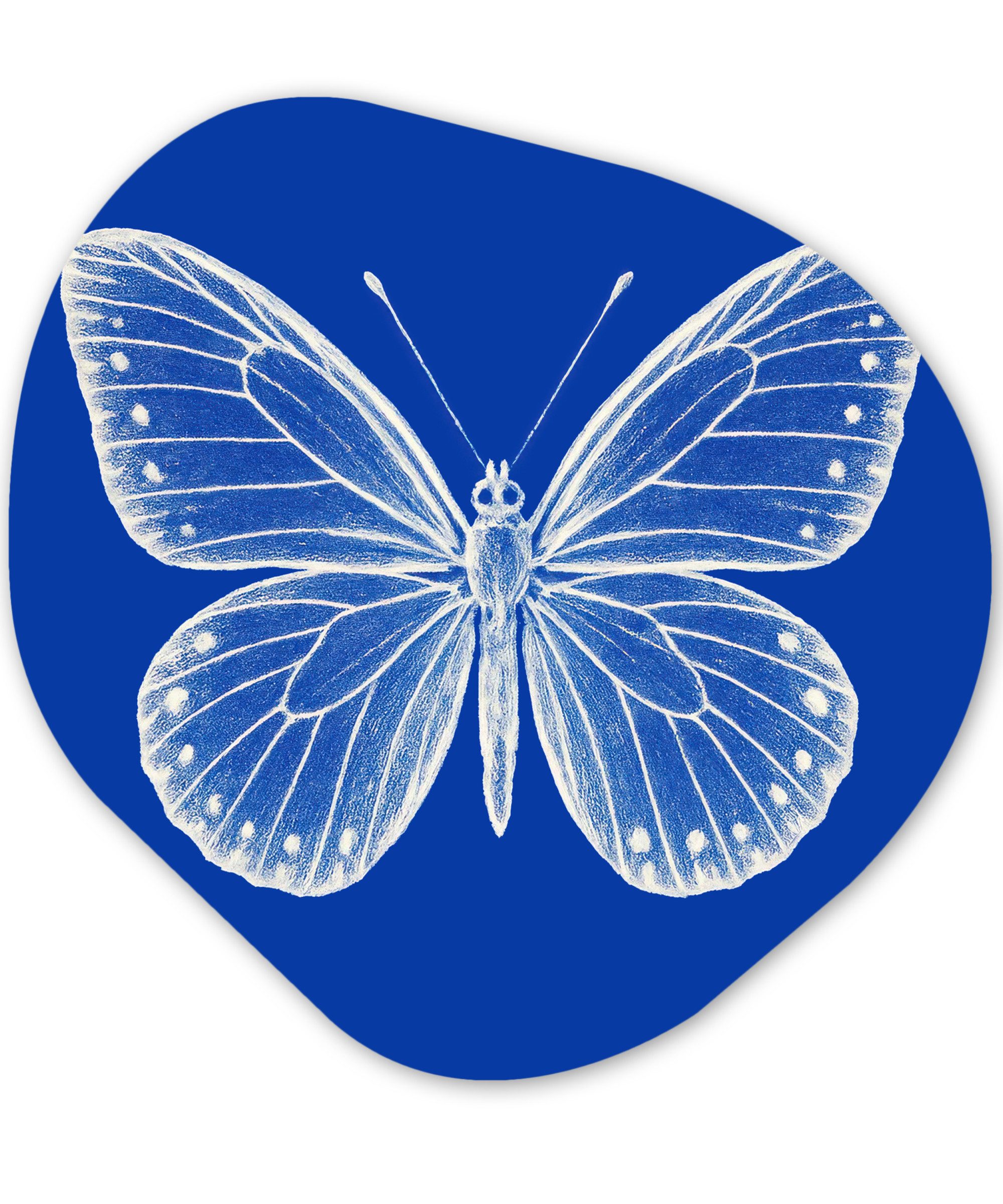 MuchoWow Gemälde Schmetterling - Weiß - Gepunktet, Fotodruck (1 St), Wandbild Abstrakt, Wohnzimmer Schlafzimmer Wanddekoration, 40x40 cm