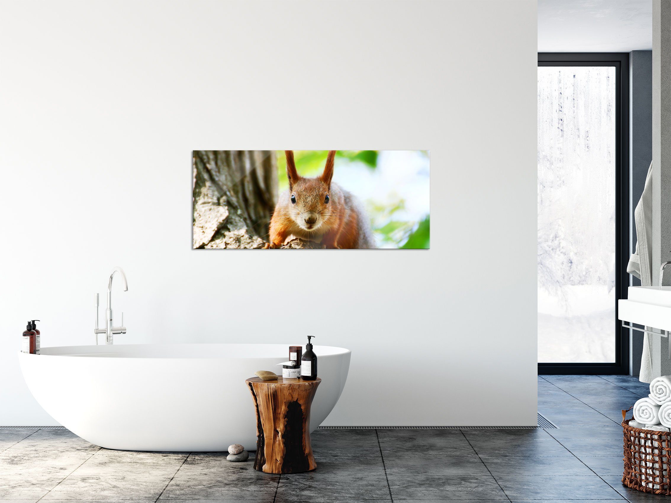 Pixxprint Glasbild Eichhörnchen auf aus St), Glasbild Baum, Eichhörnchen auf dem Abstandshalter Echtglas, inkl. dem Aufhängungen Baum und (1