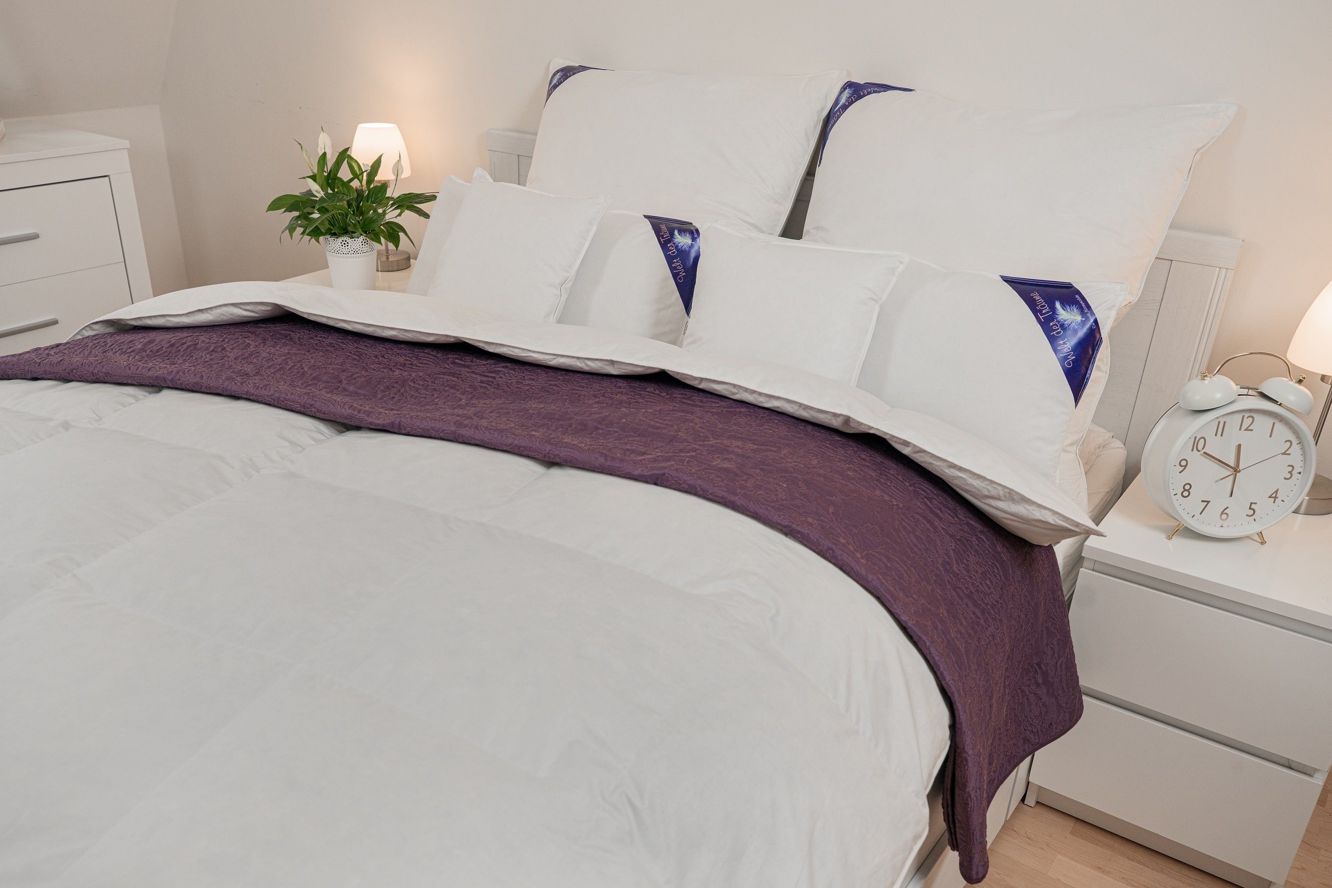 Welt der Träume Daunenbettdecke Sommer Decke Bettdecke Schlafdecke Daunende günstig online kaufen