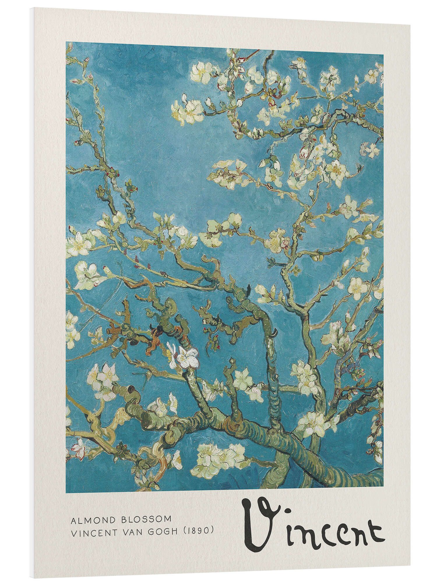 Posterlounge Wandbild Mandelblüte, Vincent van Gogh, erhältlich als Poster, Leinwandbild, Wandsticker oder Acrylglasbild