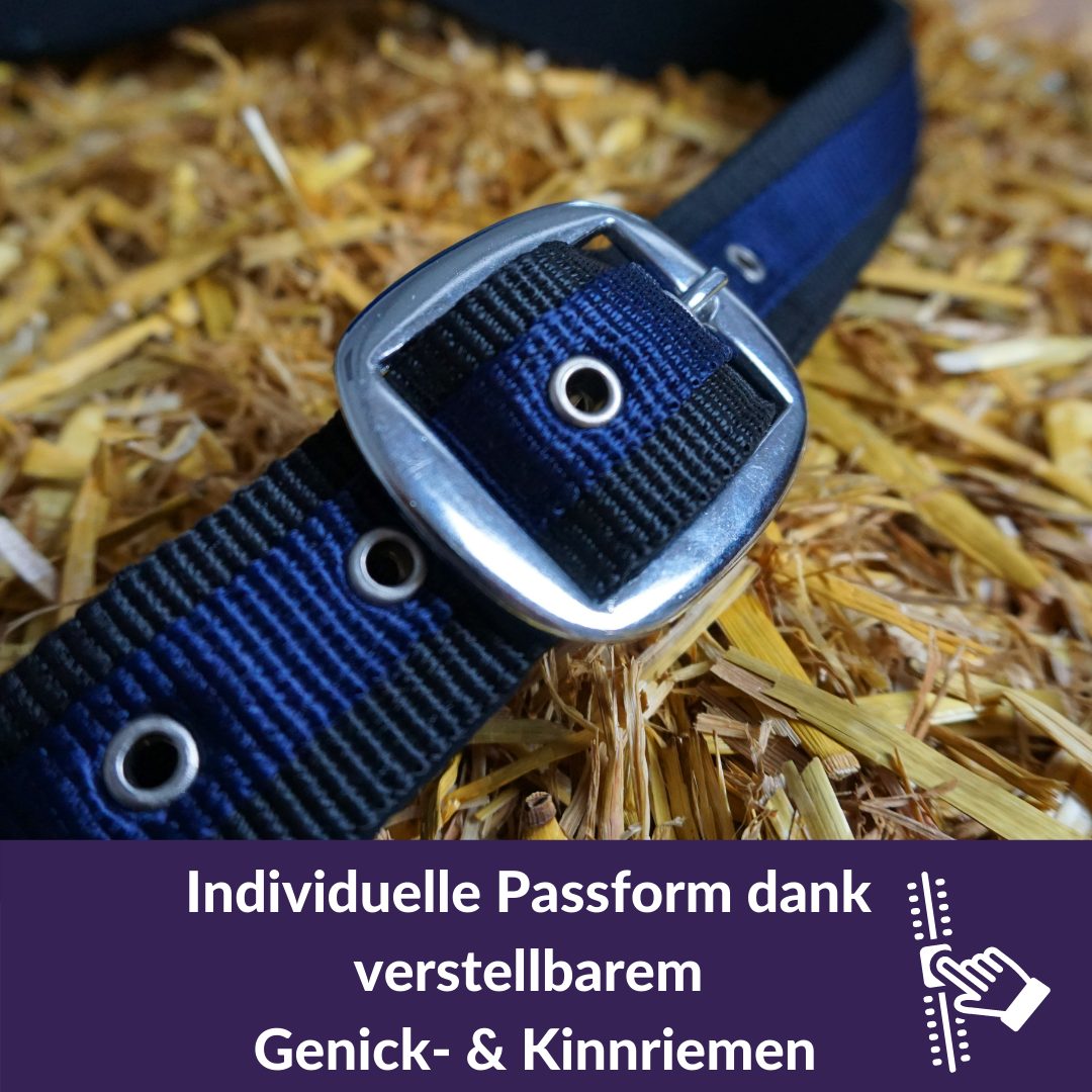Pferdelinis Halfter Halfter für Pferde Kaltblut xfull, 2 Fach verstellbar, zweifach verstellbar