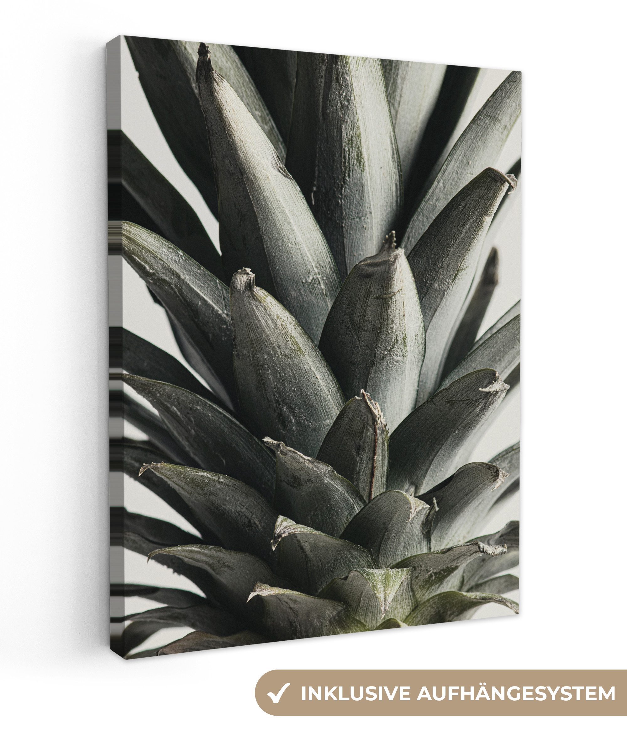 OneMillionCanvasses® Leinwandbild Ananas - Grün - günstig online kaufen