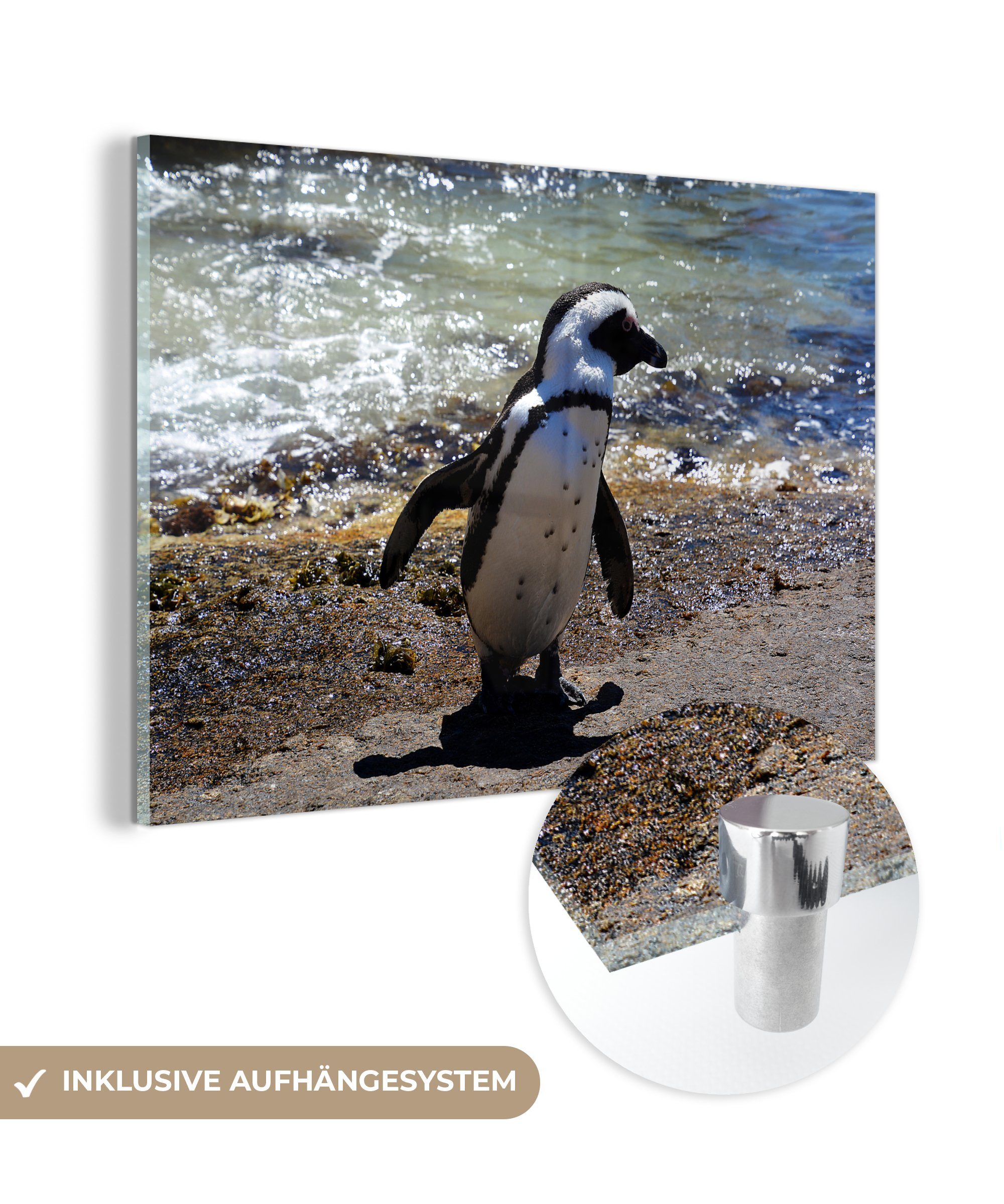Wohnzimmer (1 & Acrylglasbilder MuchoWow schlängelt St), Peru, Acrylglasbild in den über Humboldt-Pinguin Schlafzimmer sich Strand