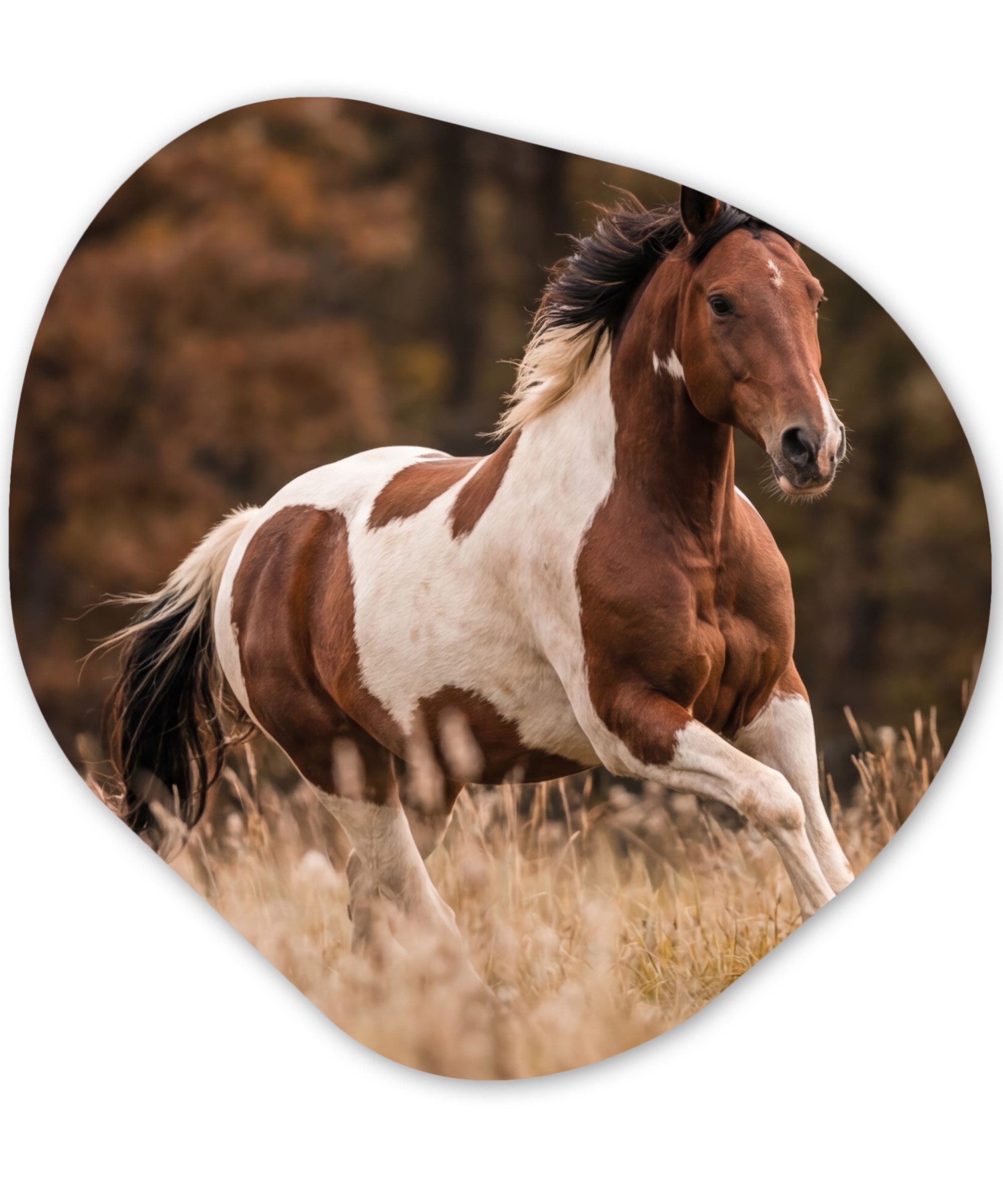 MuchoWow Gemälde Pferd - Braun - Gras, Fotodruck (1 St), Wandbild Abstrakt, Wohnzimmer Schlafzimmer Wanddekoration, 40x40 cm