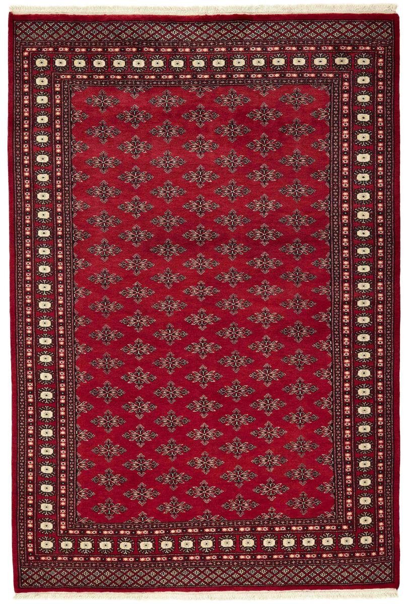 Orientteppich Pakistan Buchara 2ply 170x253 Handgeknüpfter Orientteppich, Nain Trading, rechteckig, Höhe: 8 mm