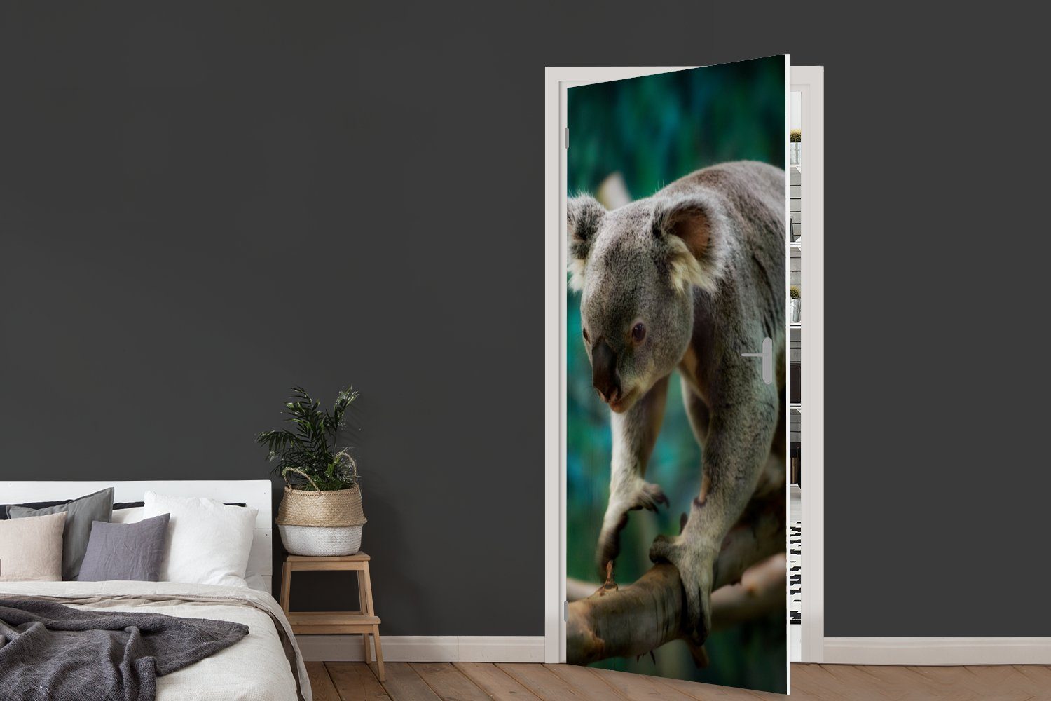 - Türtapete Koala - Tür, - Jungen cm MuchoWow Kinder Baum 75x205 Mädchen, Klettern - Matt, für Türaufkleber, - (1 St), Fototapete bedruckt,