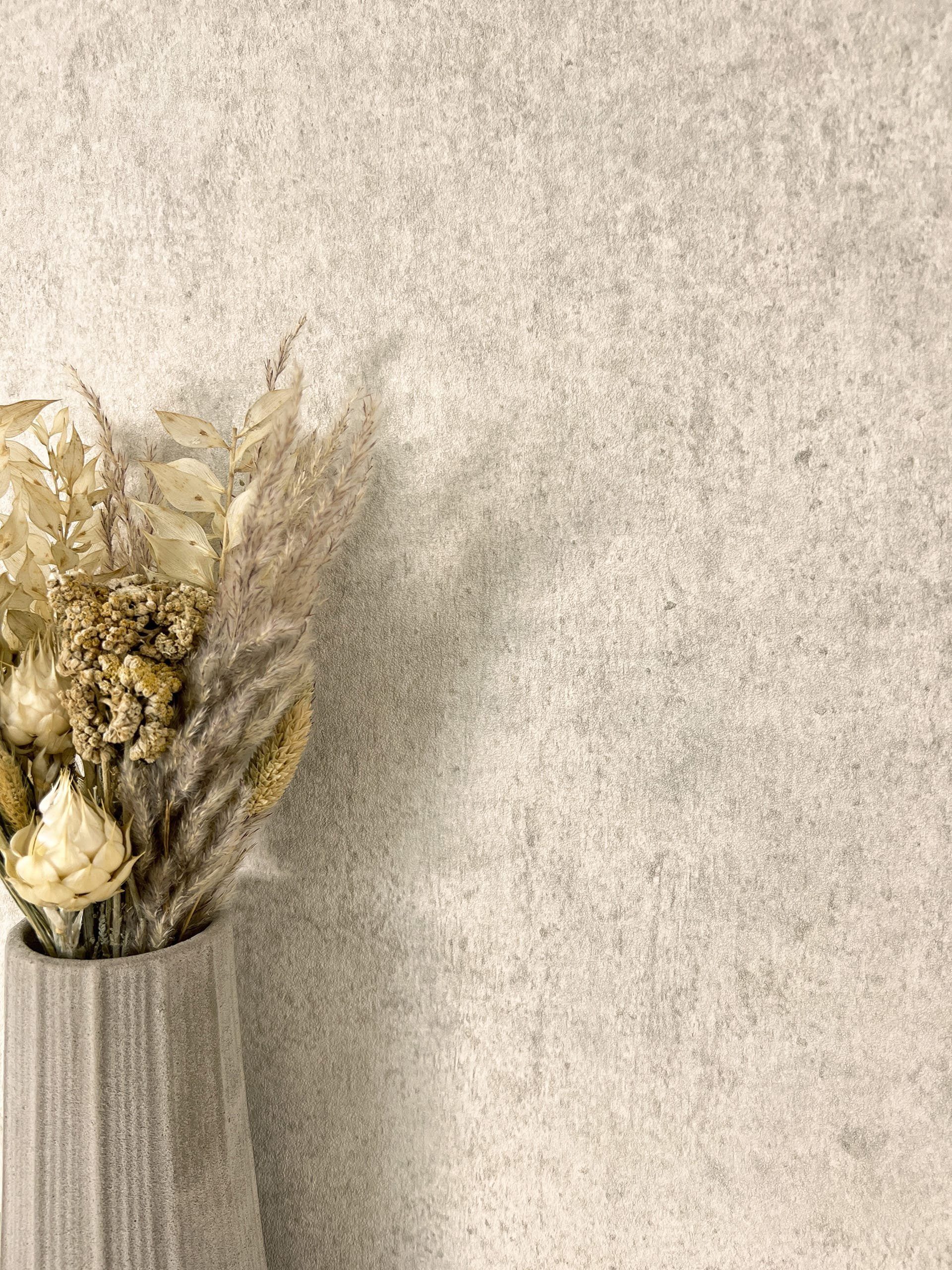 Newroom Vliestapete, Taupe Tapete Modern Beton günstig online kaufen